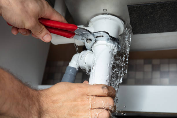 Best Flood restoration services  in Bellevue, WI