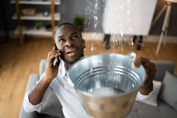 Best Water damage restoration experts  in Bellevue, WI