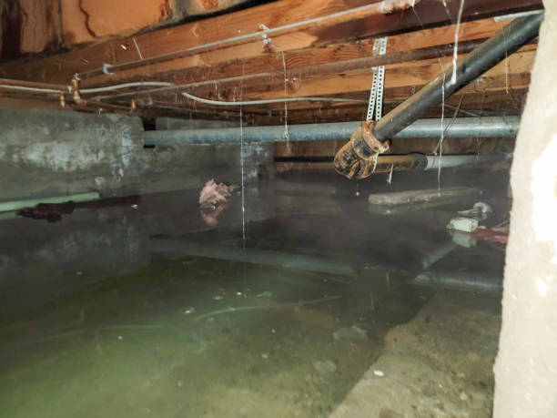 Best Water damage restoration near me  in Bellevue, WI