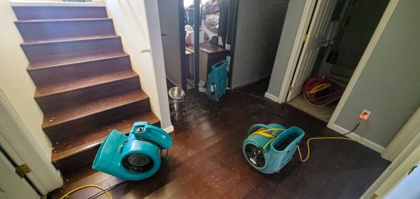 Best Water damage contractors near me  in Bellevue, WI