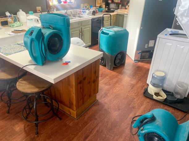 Best Water damage cleanup near me  in Bellevue, WI