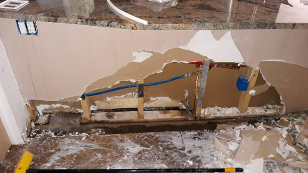 Best Basement water damage restoration  in Bellevue, WI