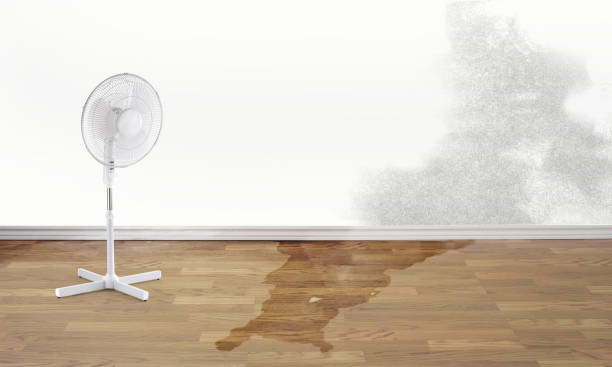 Trusted Bellevue, WI Water damage restoration Experts