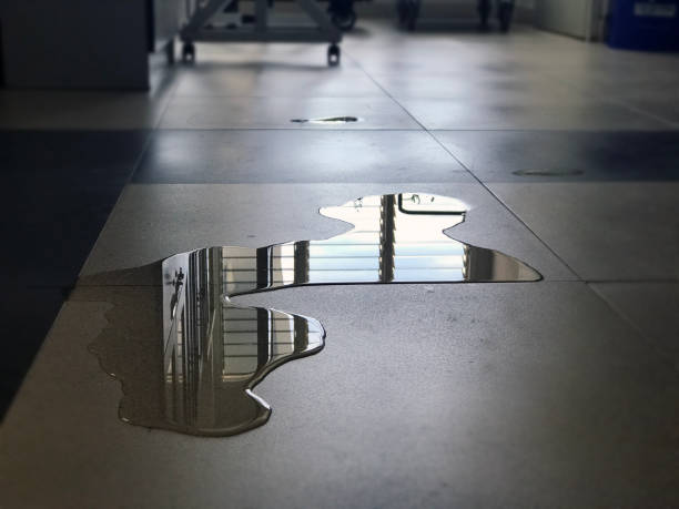 Water damage restoration experts in Bellevue, WI