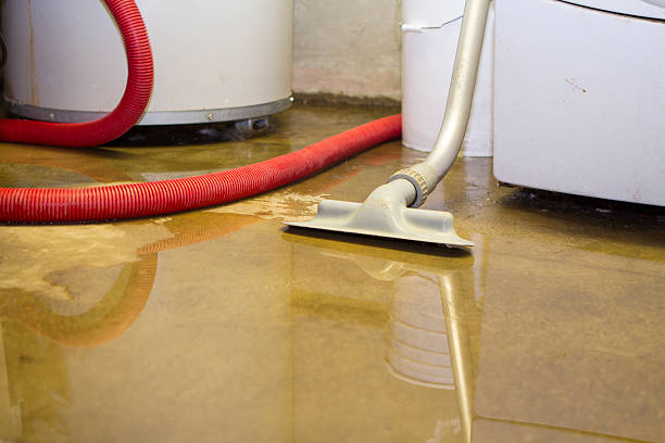 Best 24/7 water damage repair  in Bellevue, WI