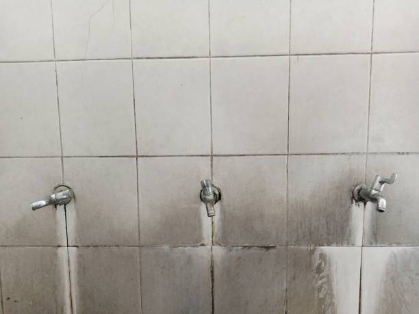 Best Sewage cleanup and water damage restoration  in Bellevue, WI