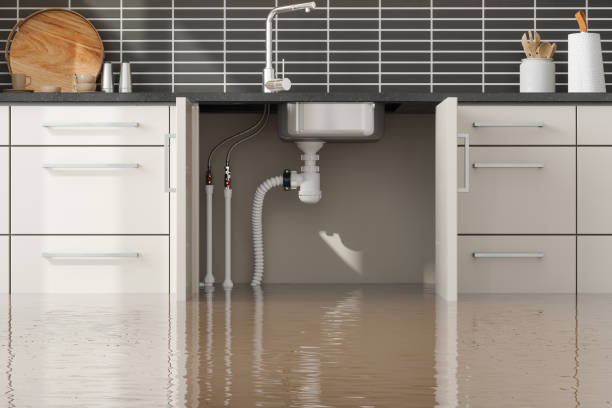 Best Water damage contractors near me  in Bellevue, WI