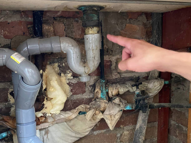 Best Water damage restoration near me  in Bellevue, WI