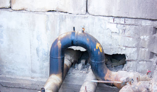 Best Carpet water damage restoration  in Bellevue, WI