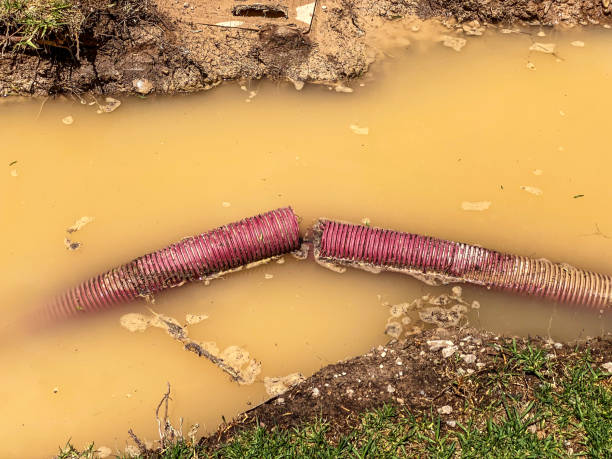Best Mold removal after water damage  in Bellevue, WI