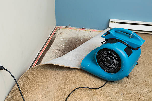 Local water damage restoration in Bellevue, WI