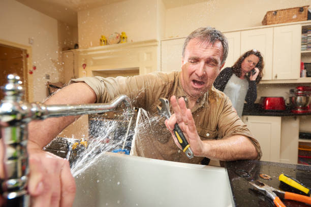Best Flood damage cleanup  in Bellevue, WI
